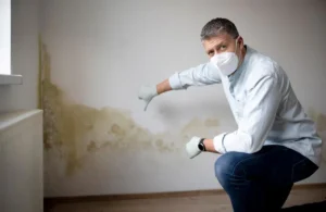 Walls developing mold in Dubai is a common issue caused by moisture and poor ventilation. Use mold-resistant paints and ensure surfaces stay dry to stop mold before it starts.