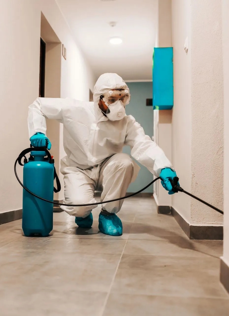 Why Choose Our Pest Control Services?