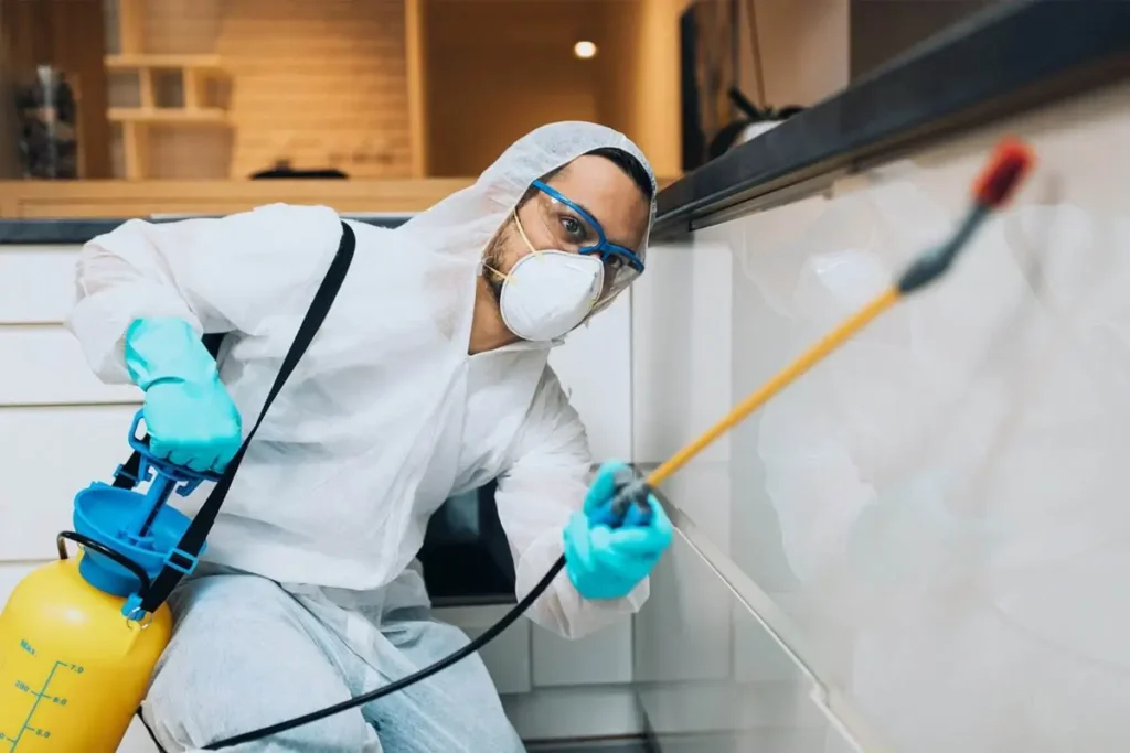 Residential Pest Control Services in Dubai