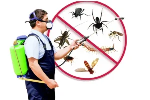 Top Pest Control Companies in Dubai You Can Trust