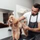 Groom Your Dog in Dubai Heat 80x80